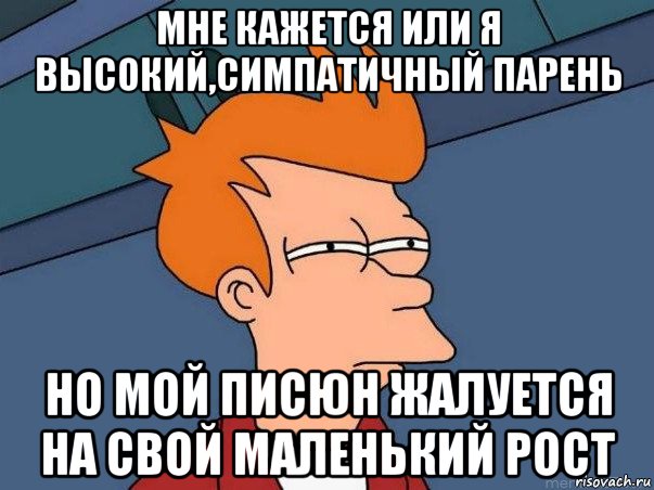 мне кажется или я высокий,симпатичный парень но мой писюн жалуется на свой маленький рост, Мем  Фрай (мне кажется или)