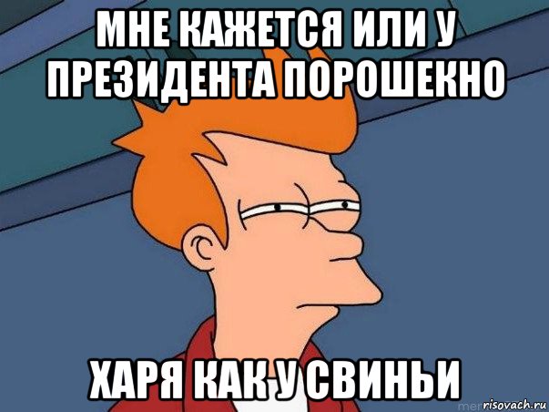 мне кажется или у президента порошекно харя как у свиньи, Мем  Фрай (мне кажется или)