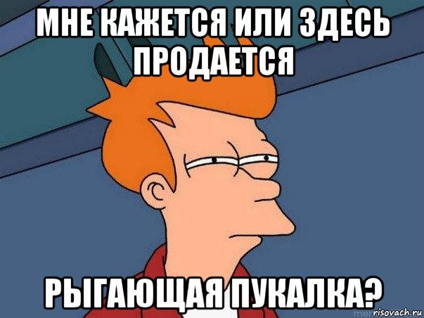 мне кажется или здесь продается рыгающая пукалка?, Мем  Фрай (мне кажется или)