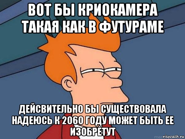 вот бы криокамера такая как в футураме дейсвительно бы существовала надеюсь к 2060 году может быть ее изобретут, Мем  Фрай (мне кажется или)