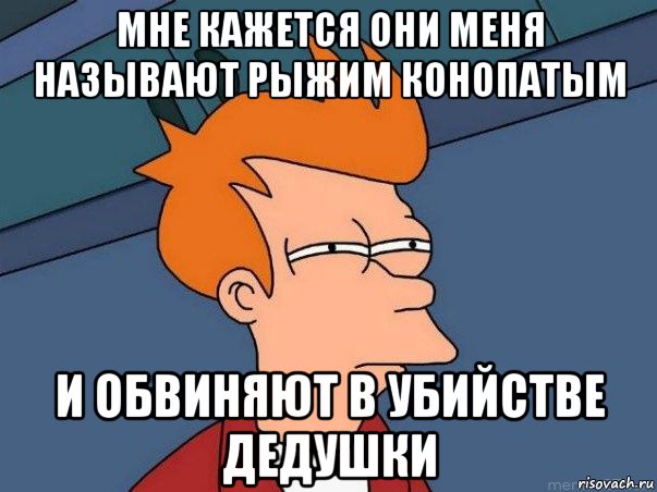 мне кажется они меня называют рыжим конопатым и обвиняют в убийстве дедушки, Мем  Фрай (мне кажется или)