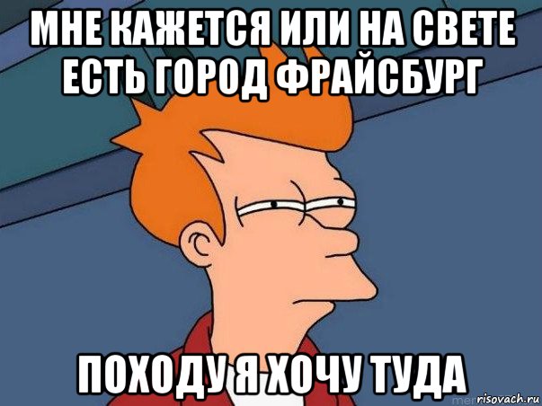 мне кажется или на свете есть город фрайсбург походу я хочу туда, Мем  Фрай (мне кажется или)