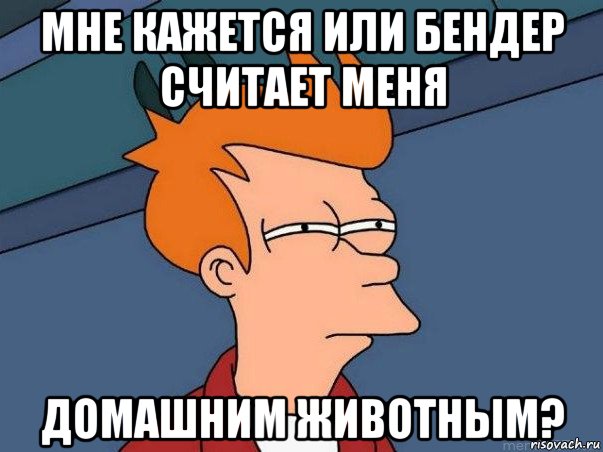 мне кажется или бендер считает меня домашним животным?, Мем  Фрай (мне кажется или)