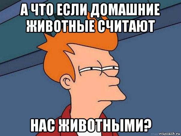 а что если домашние животные считают нас животными?, Мем  Фрай (мне кажется или)