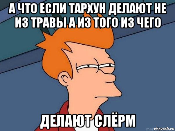 а что если тархун делают не из травы а из того из чего делают слёрм, Мем  Фрай (мне кажется или)