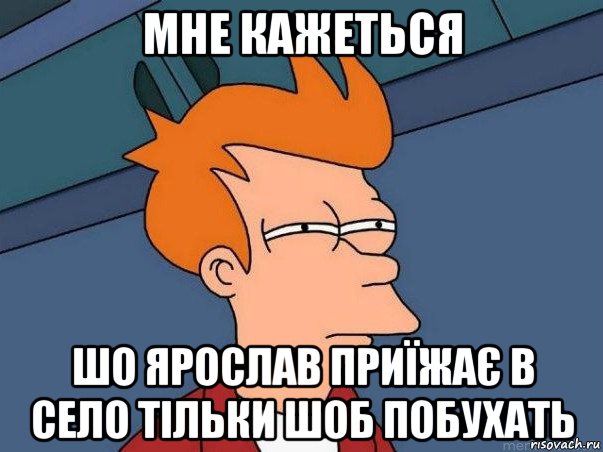 мне кажеться шо ярослав приїжає в село тільки шоб побухать, Мем  Фрай (мне кажется или)