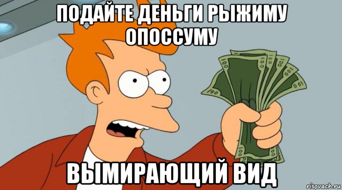 подайте деньги рыжиму опоссуму вымирающий вид, Мем Заткнись и возьми мои деньги