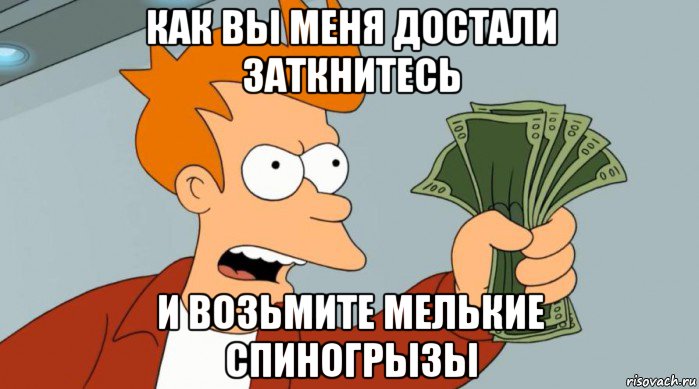 как вы меня достали заткнитесь и возьмите мелькие спиногрызы, Мем Заткнись и возьми мои деньги