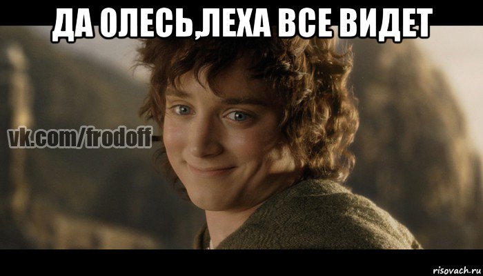 да олесь,леха все видет , Мем  Фродо