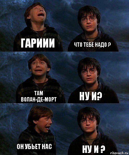 Гариии Что тебе надо ? Там Волан-де-Морт Ну и? Он убьет нас Ну и ?, Комикс гарри и рон в пещере пауков