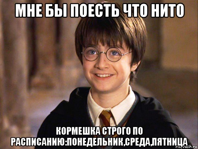 мне бы поесть что нито кормешка строго по расписанию:понедельник,среда,пятница, Мем Гарри Поттер