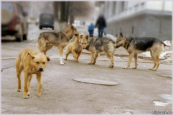 А это кто ? Почем он не с нами ? Он хочет быть собой!, Комикс гн