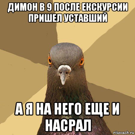 димон в 9 после екскурсии пришел уставший а я на него еще и насрал, Мем голубь