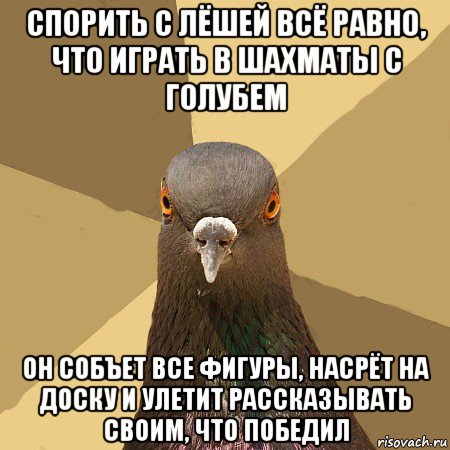 спорить с лёшей всё равно, что играть в шахматы с голубем он собъет все фигуры, насрёт на доску и улетит рассказывать своим, что победил, Мем голубь