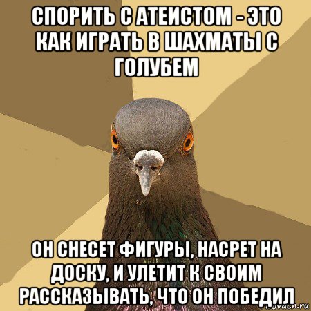 спорить с атеистом - это как играть в шахматы с голубем он снесет фигуры, насрет на доску, и улетит к своим рассказывать, что он победил, Мем голубь