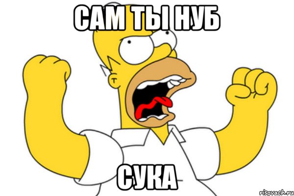 Сам ты НУБ Сука, Мем Разъяренный Гомер