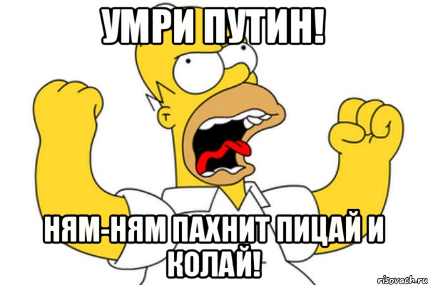 Умри путин! Ням-ням пахнит пицай и колай!, Мем Разъяренный Гомер