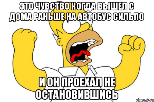 Это чувство когда вышел с дома раньше на автобус Сильпо и он проехал не остановившись, Мем Разъяренный Гомер