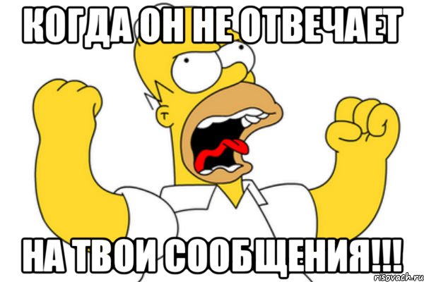 Когда он не отвечает На твои сообщения!!!, Мем Разъяренный Гомер