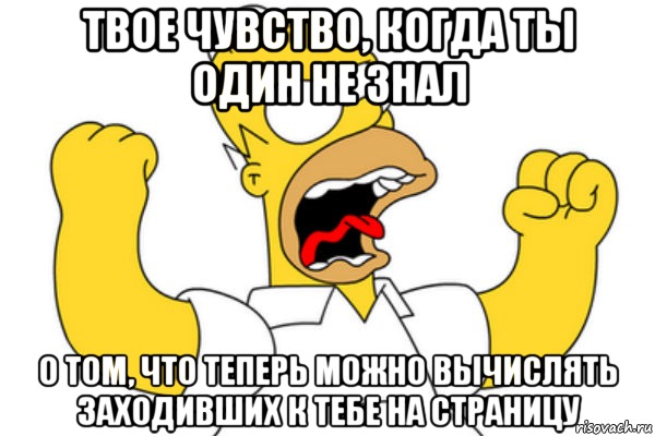 твое чувство, когда ты один не знал о том, что теперь можно вычислять заходивших к тебе на страницу, Мем Разъяренный Гомер