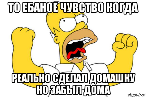 то ебаное чувство когда реально сделал домашку но забыл дома, Мем Разъяренный Гомер