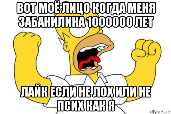 вот моё лицо когда меня забанилина 1000000 лет лайк если не лох или не псих как я, Мем Разъяренный Гомер