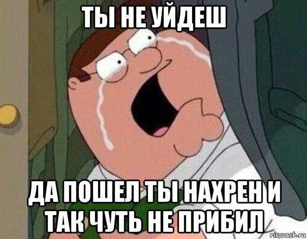 ты не уйдеш да пошел ты нахрен и так чуть не прибил, Мем Гриффин плачет