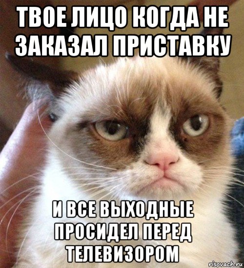 твое лицо когда не заказал приставку и все выходные просидел перед телевизором, Мем Грустный (сварливый) кот