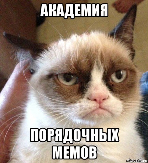 академия порядочных мемов, Мем Грустный (сварливый) кот