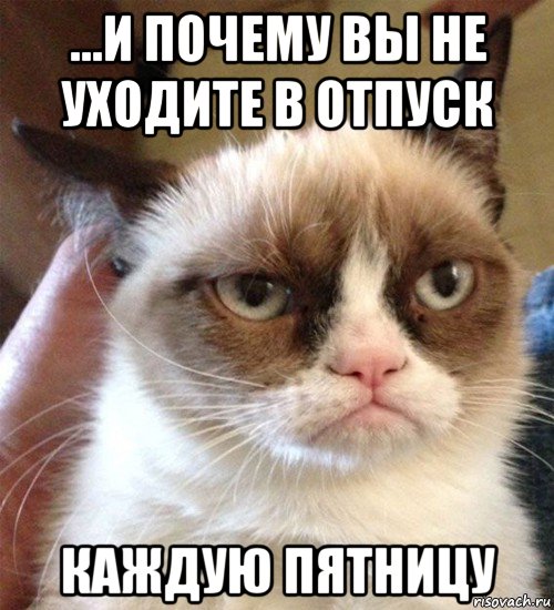 ...и почему вы не уходите в отпуск каждую пятницу, Мем Грустный (сварливый) кот
