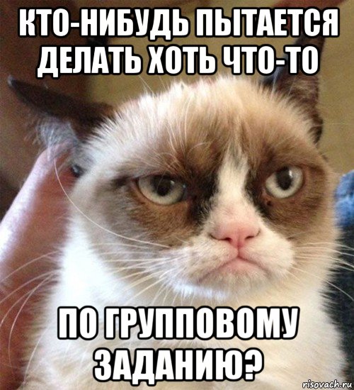 кто-нибудь пытается делать хоть что-то по групповому заданию?, Мем Грустный (сварливый) кот