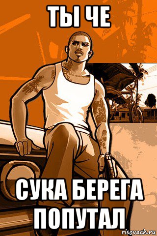 ты че сука берега попутал, Мем GTA