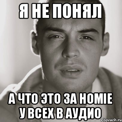 я не понял а что это за HOMIE у всех в аудио, Мем Гуф