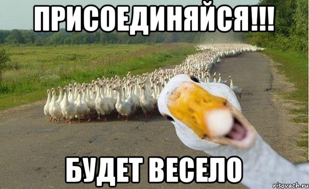 ПРИСОЕДИНЯЙСЯ!!! БУДЕТ ВЕСЕЛО, Мем гуси