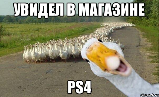 Увидел в магазине PS4, Мем гуси