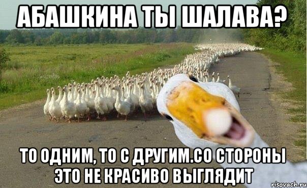 абашкина ты шалава? то одним, то с другим.со стороны это не красиво выглядит, Мем гуси