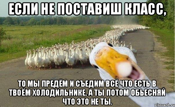 Если не поставиш класс, то мы предём и съедим всё что есть в твоём холодильнике. А ты потом обьесняй что это не ты., Мем гуси