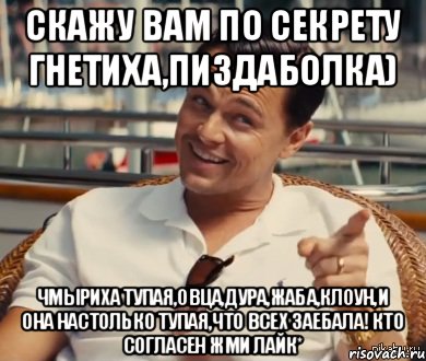 Скажу вам по секрету Гнетиха,пиздаболка) Чмыриха тупая,овца,дура,жаба,клоун,и она настолько тупая,что всех заебала! Кто согласен жми ЛаЙк*, Мем Хитрый Гэтсби