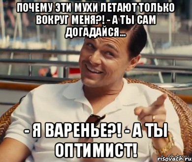 Почему эти мухи летают только вокруг меня?! - А ты сам догадайся... - Я варенье?! - А ты оптимист!, Мем Хитрый Гэтсби