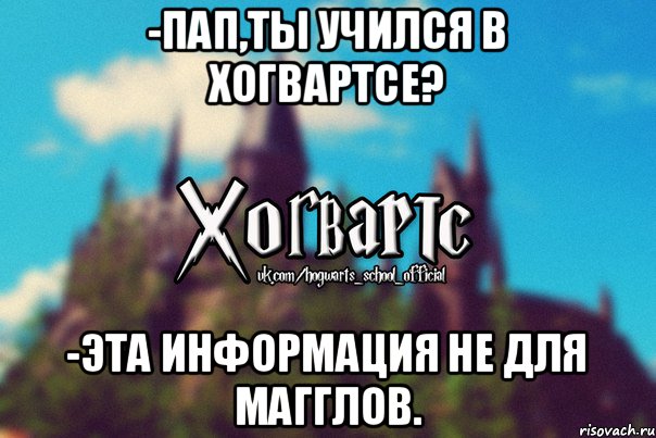 -Пап,ты учился в Хогвартсе? -Эта информация не для магглов., Мем Хогвартс