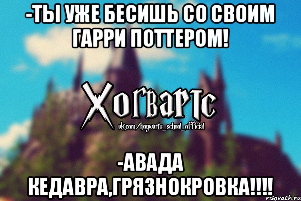 -Ты уже бесишь со своим Гарри Поттером! -Авада Кедавра,грязнокровка!!!!