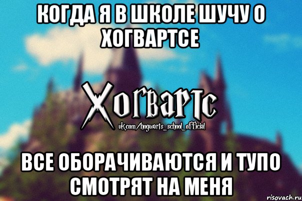 Когда я в школе шучу о Хогвартсе Все оборачиваются и тупо смотрят на меня, Мем Хогвартс