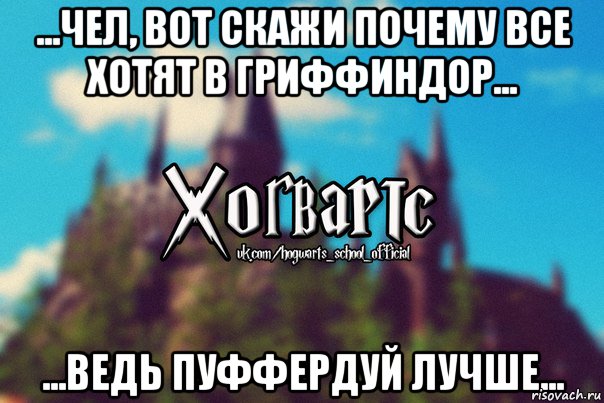 ...Чел, вот скажи почему все хотят в Гриффиндор... ...Ведь Пуффердуй лучше..., Мем Хогвартс