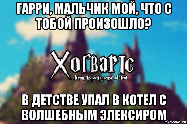 гарри, мальчик мой, что с тобой произошло? в детстве упал в котел с волшебным элексиром, Мем Хогвартс