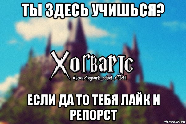 ты здесь учишься? если да то тебя лайк и репорст, Мем Хогвартс