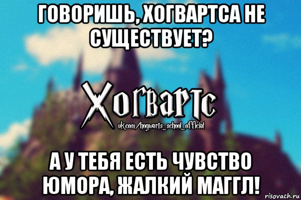 говоришь, хогвартса не существует? а у тебя есть чувство юмора, жалкий маггл!, Мем Хогвартс