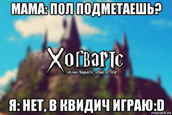 мама: пол подметаешь? я: нет, в квидич играю:d, Мем Хогвартс