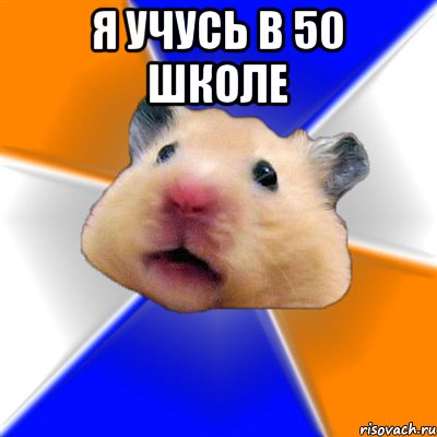 я учусь в 50 школе , Мем Хомяк