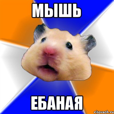 Мышь ебаная