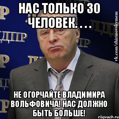 Нас только 30 человек. . . . Не огорчайте Владимира Вольфовича! Нас должно быть больше!, Мем Хватит это терпеть (Жириновский)